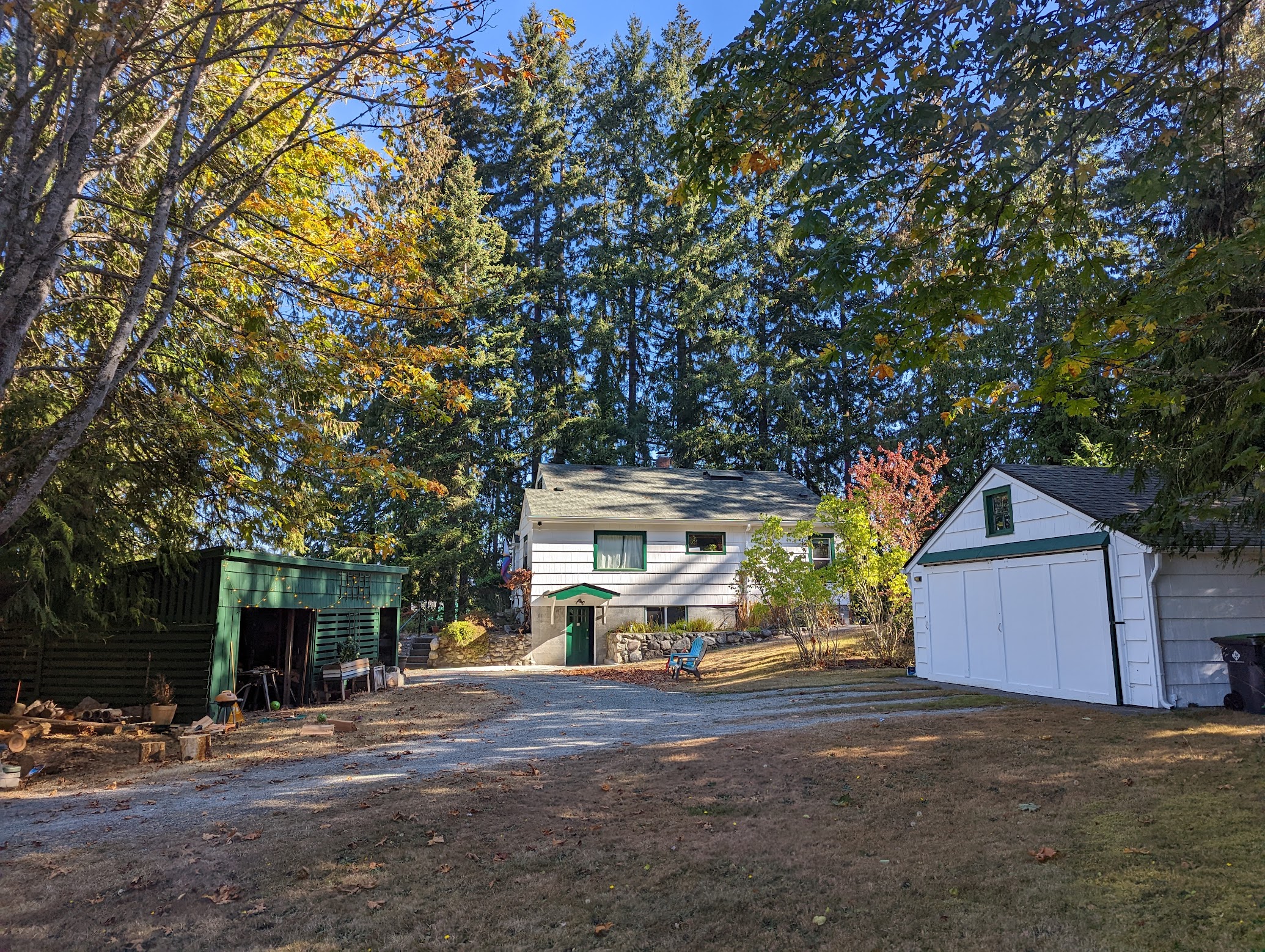 The Lunch Rock house and outbuildings among tall evergreens, with a gravel drive and autumn leaves.
